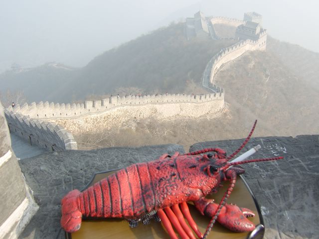 Homard 1 - Muraille 0