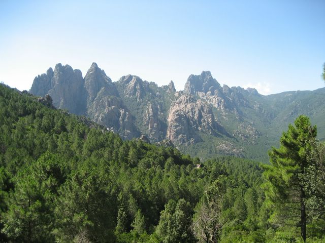 photo aiguilles