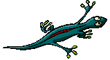 gif lezard
