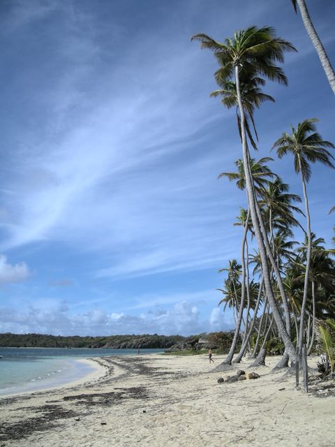 photo Anse Michel